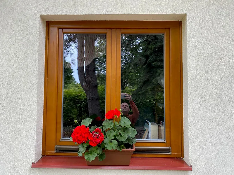 Borovi fa kétszárnyas ablak