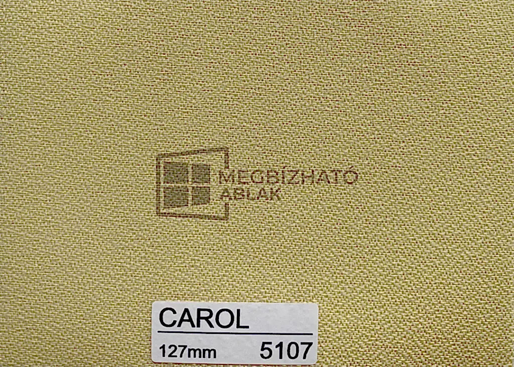 Carol 5107